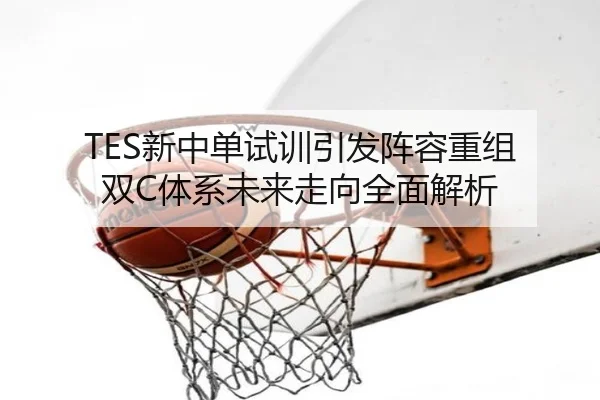 TES新中单试训引发阵容重组 双C体系未来走向全面解析
